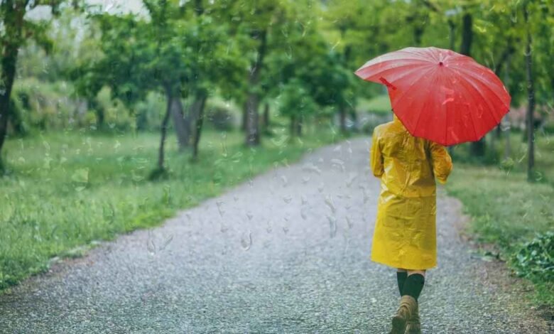 हरियाणा में झमाझम बारिश का अलर्ट, 24 तारीख तक इन जिलों में होगी भारी बारिश