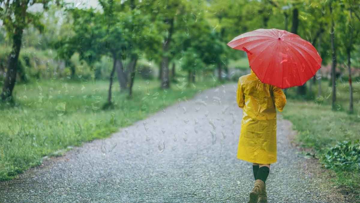 हरियाणा में झमाझम बारिश का अलर्ट, 24 तारीख तक इन जिलों में होगी भारी बारिश